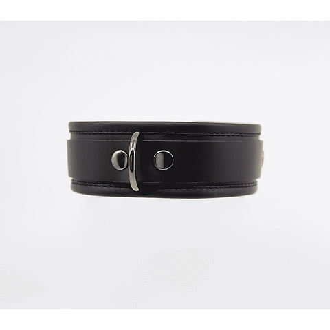 Fetish Collar with Coloured Hardware by Love In Leather