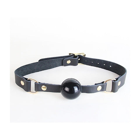 BDSM Gag with Coloured Hardware by Love In Leather