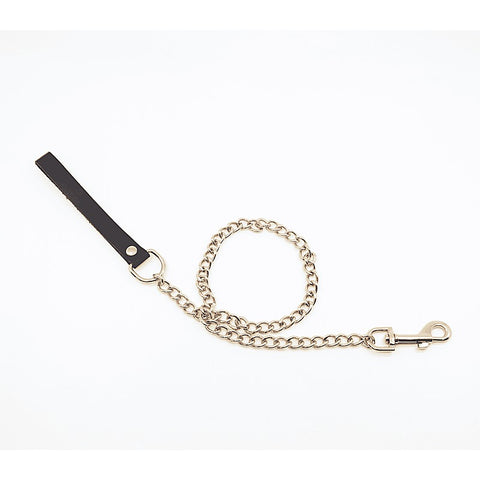 BDSM Chain Lead With Coloured Hardware by Love In Leather