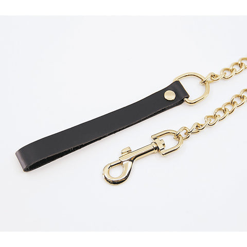 BDSM Chain Lead With Coloured Hardware by Love In Leather
