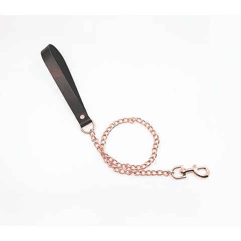 BDSM Chain Lead With Coloured Hardware by Love In Leather