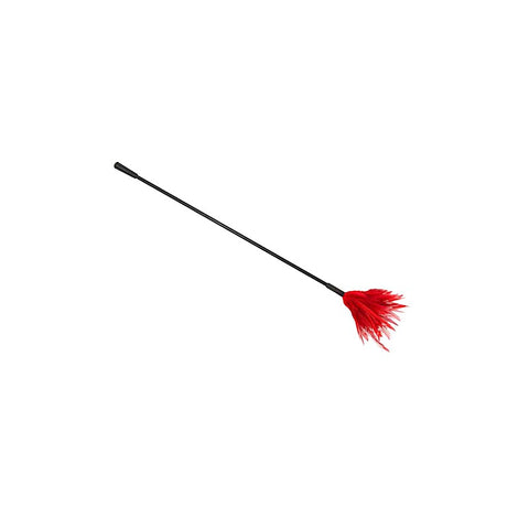BDSM Crop With Feather Tickler by Love In Leather