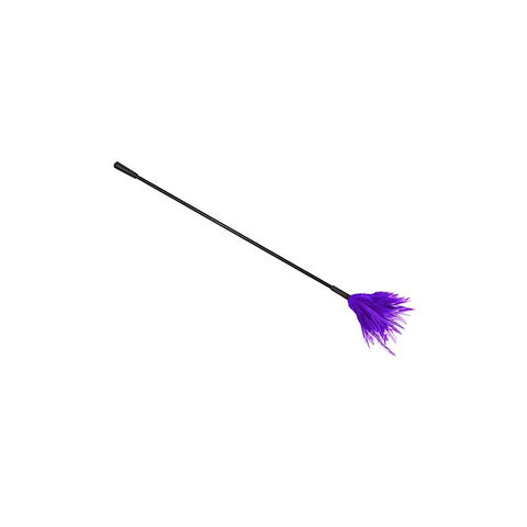 BDSM Crop With Feather Tickler by Love In Leather