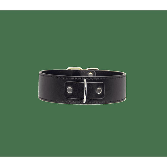 BDSM Play Unlined PU Collar and Lead by Berlin Baby