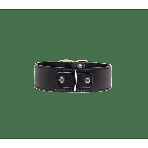 BDSM Play Unlined PU Collar and Lead by Berlin Baby