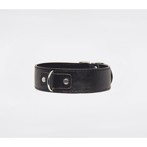 BDSM Play Unlined PU Collar and Lead by Berlin Baby