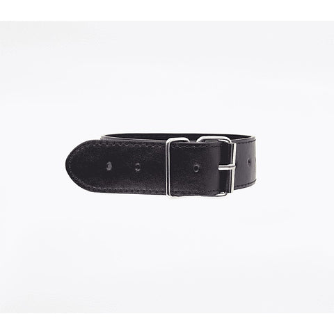BDSM Play Unlined PU Collar and Lead by Berlin Baby