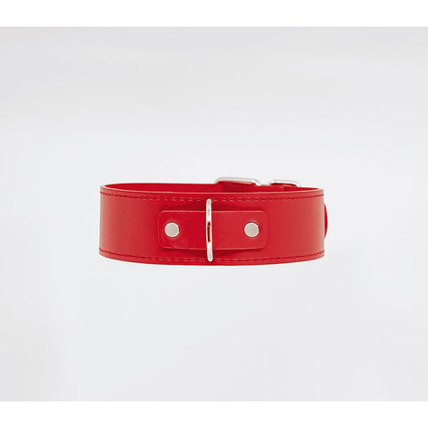 BDSM Play Unlined PU Collar and Lead by Berlin Baby