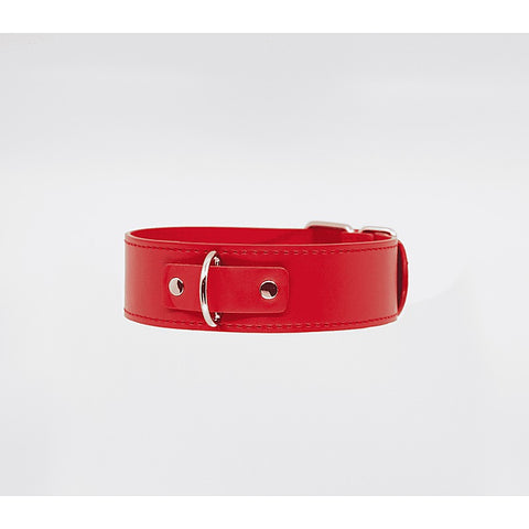 BDSM Play Unlined PU Collar and Lead by Berlin Baby