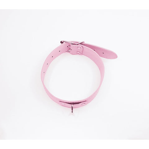 BDSM Play Unlined PU Collar and Lead by Berlin Baby