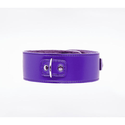 Fur Lined PU Collar and Lead Set by Berlin Baby
