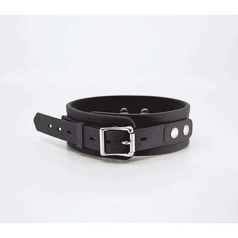 Silicone Collar & Lead Set by Love In Leather