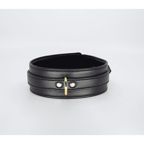 Faux Leather Collar & Leads by Love In Leather