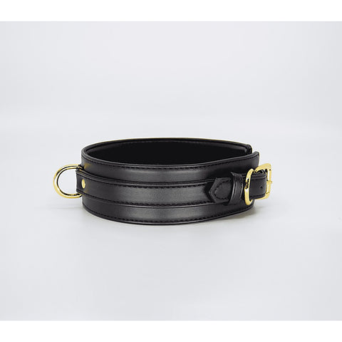 Faux Leather Collar & Leads by Love In Leather