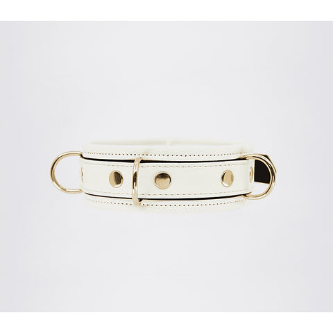 Glow in the Dark Collar & Lead Set by Love In Leather