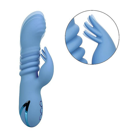 California Dreaming Santa Cruz Coaster Vibrator