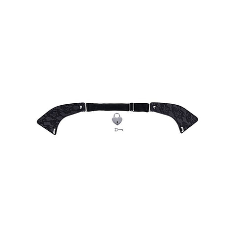 Heartbound Lace Day Collar by Sportsheets