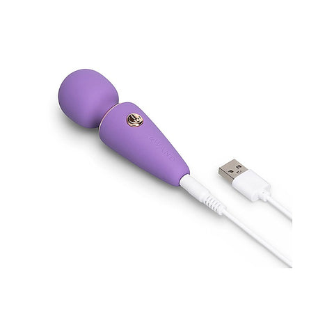 Mini Micro Wand Massager by Le Wand