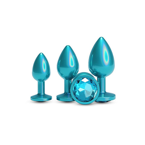 Rear Assets 3 Sizes Metallic Butt Plugs Kit by NS Novelties