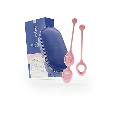 Yonii Set of 2 Quartz Eggs Massager by Biird