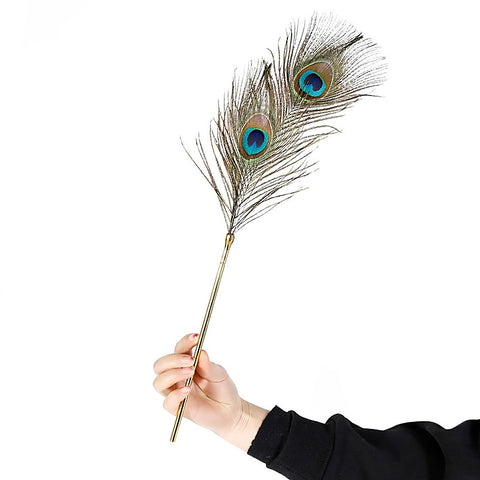 Peacock Feather Tickler by BDStyle