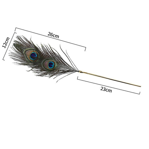 Peacock Feather Tickler by BDStyle