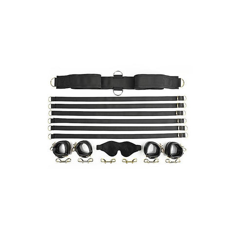Special Edition Under the Bed Restraint System