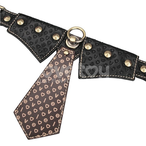 Rebellion Reign Bondage Collar and Leash by Lovetoy