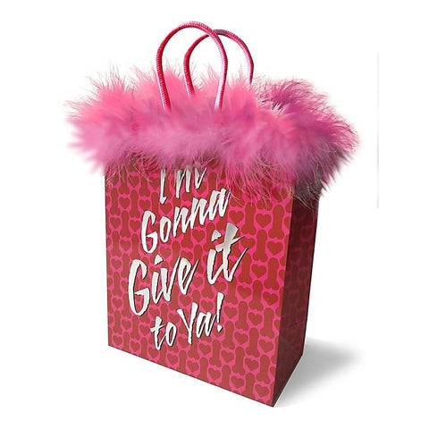 Im Gonna Give it To Ya! Gift Bag by Little Genie