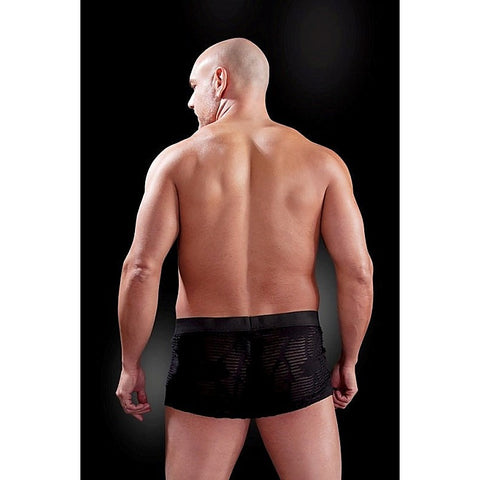Fetish Fantasy Men's Fetish Play See-Thru Sexy Boxer