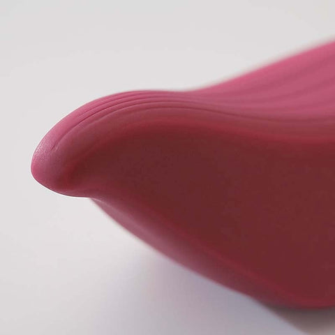 Iroha + Tori Massager by Tenga