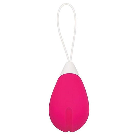 Remote Control Egg by Evolved