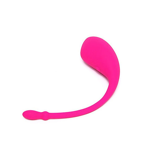 Lush Bluetooth Remote Control G Spot Vibrator by Lovense