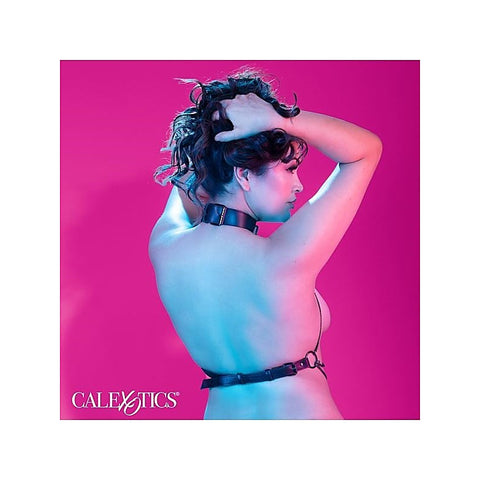 Multi Chain BDSM Collar Harness by California Exotics