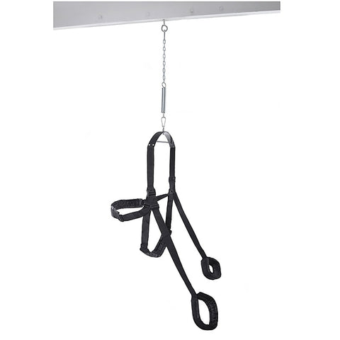 Fetish Fantasy Fully Adjustable Sex Swing