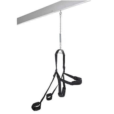Fetish Fantasy Fully Adjustable Sex Swing