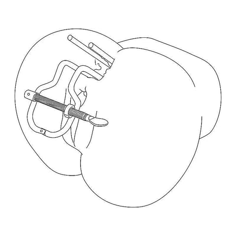 Vaginal Stretching Speculum by BDStyle