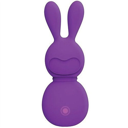 FemmeFunn Bunny Massager by VVOLE LLC