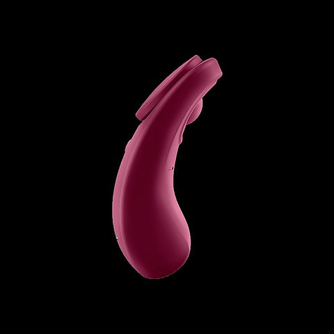 Sexy Secret App Connect Remote Control Panty Vibrator