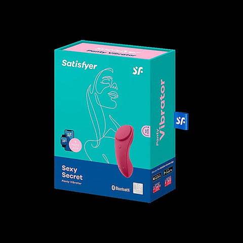 Sexy Secret App Connect Remote Control Panty Vibrator