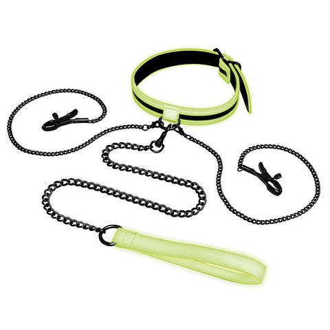 WhipSmart Glow In Dark Collar, Clips + Leash