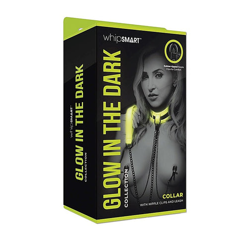 WhipSmart Glow In Dark Collar, Clips + Leash
