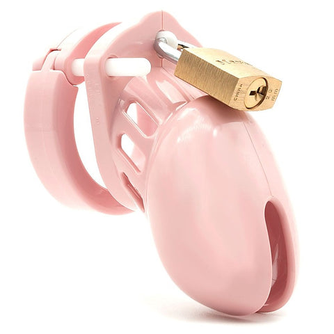 CB-6000s Chastity Cock Cage Kit by A L Enterprises