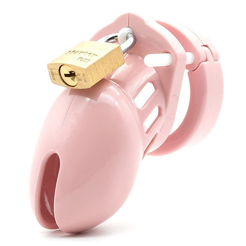 CB-6000s Chastity Cock Cage Kit by A L Enterprises