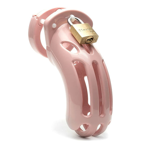 The Curve Chastity Cock Cage Kit by A L Enterprises