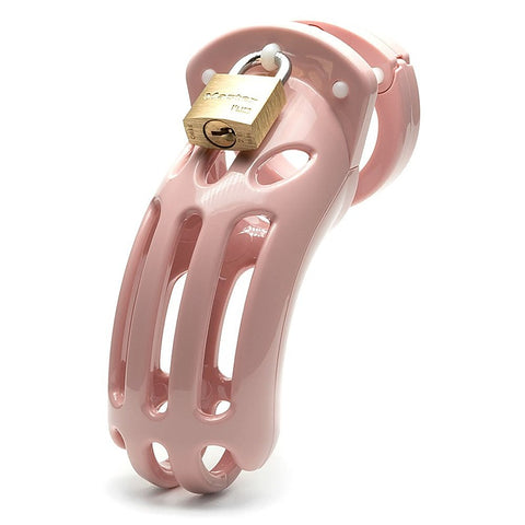 The Curve Chastity Cock Cage Kit by A L Enterprises