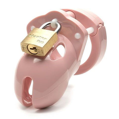Mr. Stubb Chastity Cock Cage Kit by A L Enterprises