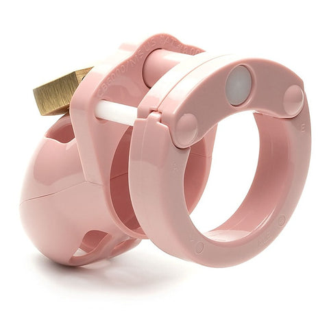 Mr. Stubb Chastity Cock Cage Kit by A L Enterprises