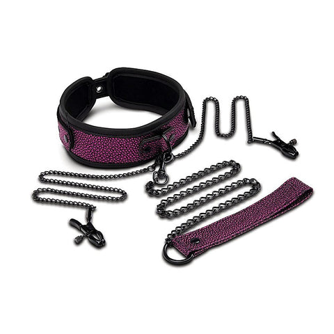 Dragons Lair Collar Leash & Nipple Clips by Xgen Products