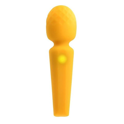 Rechargeable Sunshine Massage Wand by Evolved